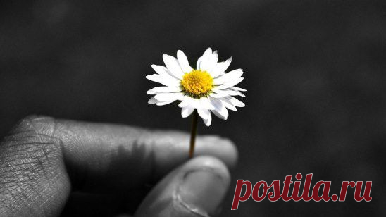 (1) Одноклассники