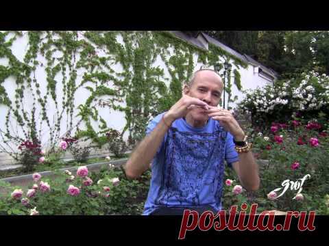 Холотропное Дыхание™ GTT Russia3