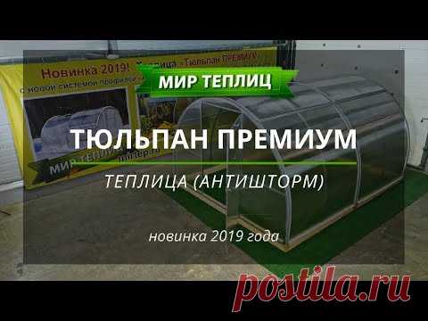 Теплица Тюльпан Премиум с системой Антишторм 2019