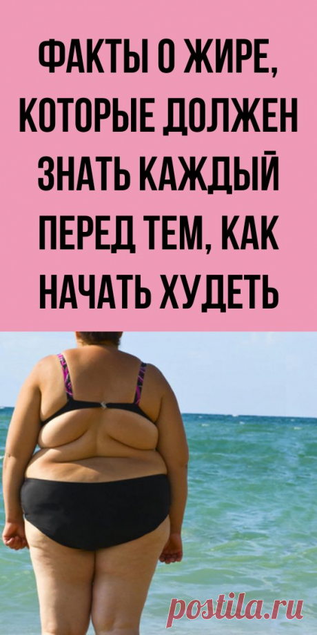 Факты о жире, которые должен знать каждый перед тем, как начать худеть
шапка лицевые и изнаночные луковка лунтик на круговых спицах от ободка патентной полосками рожь розовая спицами спираль без резинки для женщин мальчика начинающих из мохера колпак платочной вязки с козырьком поперечной косой градиентом двойным отворотом косами девочке объемными крючком помпоном пуговицами рельефным узором сердечком трансформер труба тыковка соты ушанка мужчин  женская чалма чулок парижанка