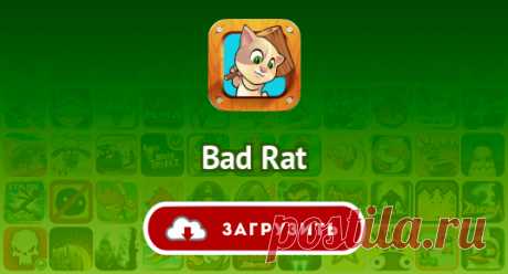 Bad Rat