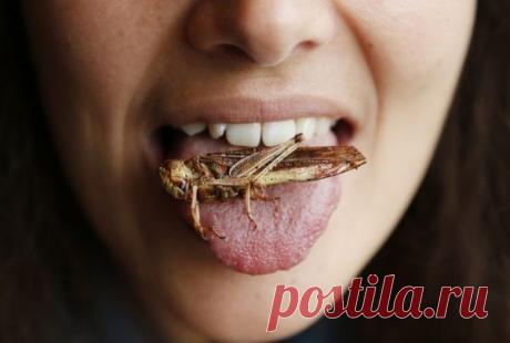 Шокирующие факты, которые лучше не знать