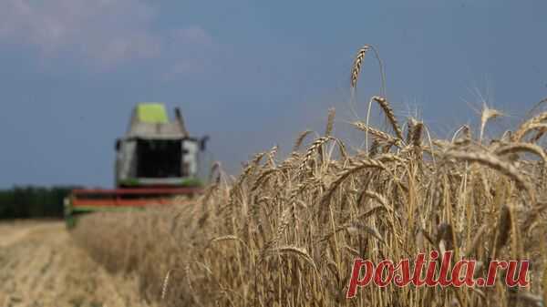 МИД: задачи меморандума Россия — ООН по зерновой сделке не были выполнены