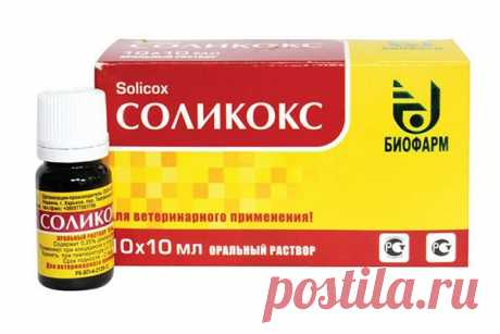 Соликокс инструкция по применению для цыплят, взрослых птиц и кроликов Дозировка и правила применения Соликокса для кроликов. Состав и фармакологическое действие.Отзывы кролиководов о препарате.