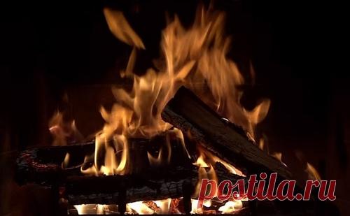 Новинки -  живые обои на рабочий стол для Windows 7, 8 и 10