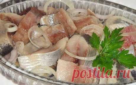 Вкус всеми любимой селедки можно существенно улучшить за счет потрясающе вкусных маринадов. Данные маринады подходят к малосольной сельди. В конце один маринад для свежей сельди. Попробуйте, не пожалеете! Когда вы будете читать рецепты маринадов, будьте готовы, что у вас сразу потекут слюнки…