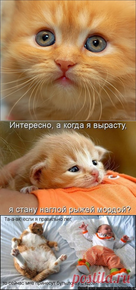 ПУШИСТОЕ ЧУДО!!!