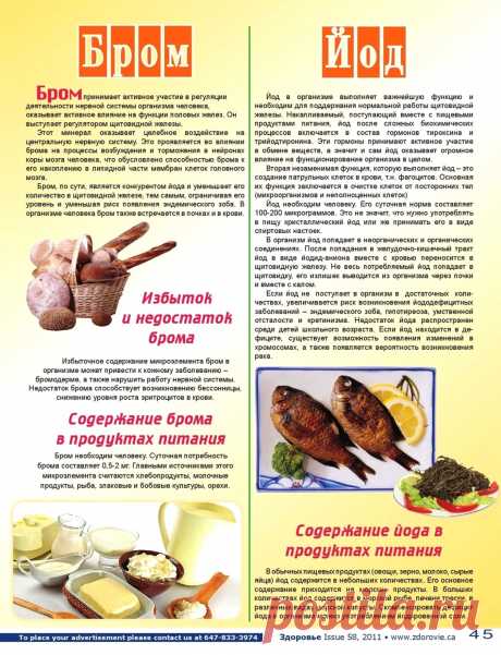 Бром, йод в организме человека