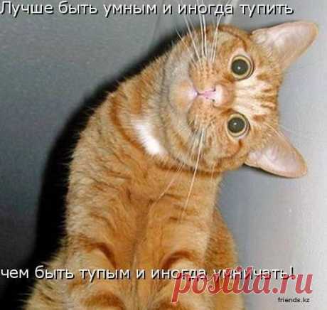 Мой Мир@Mail.Ru