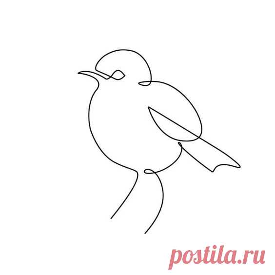 Более 900 работ на тему «Continuous Line Drawing Bird»: стоковые иллюстрации, векторная графика и клипарт royalty-free
