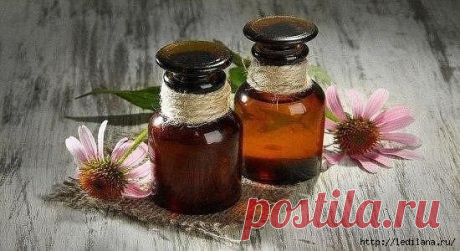ПО 25 КАПЕЛЬ УТРОМ И ВЕЧЕРОМ
