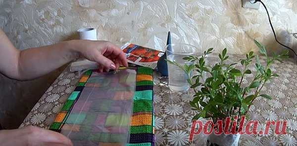 Сажаем БАРХАТЦЫ на рассаду без земли | Олин Огород | Яндекс Дзен