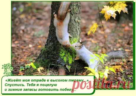 Хорошего Вам настроения.