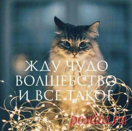 ☽ • Ведьмина Долина • Магия • Обряды • Гадание ☾