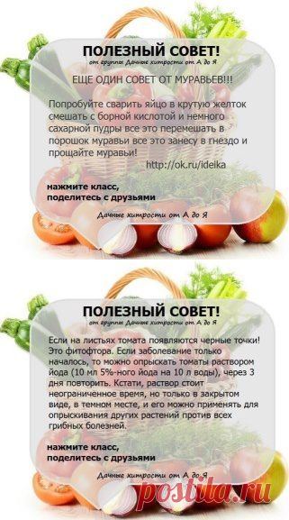 (49) Одноклассники