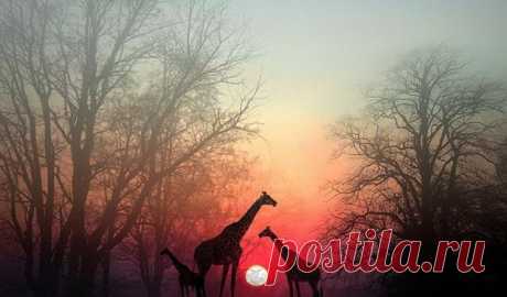 Присесть на обочине. Остановитесь на минутку, чтобы душа вас догнала