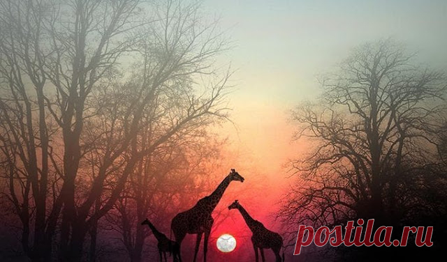 Присесть на обочине. Остановитесь на минутку, чтобы душа вас догнала