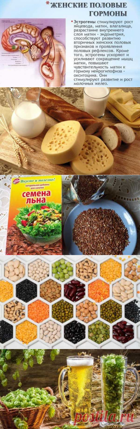 Продукты содержащие эстрогены для женщин при климаксе