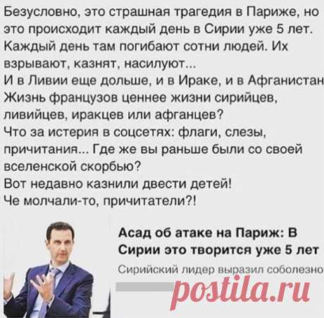 (8) Mixail Vetkin - Фото из публикации Mixail Vetkin в Гвоздика -...
