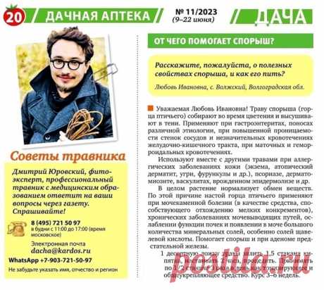 От чего помогает спорыш (горец птичий)