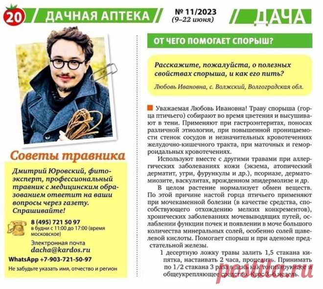 От чего помогает спорыш (горец птичий)