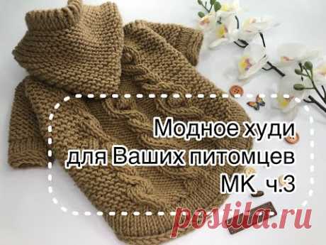 Модное худи для вашего питомца. Вяжем спицами. Мастер-класс. Часть 3