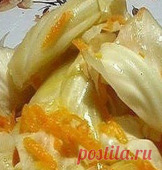 капуста в горячем рассоле