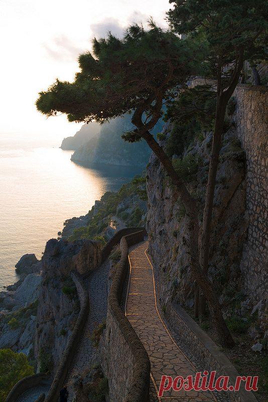 Найдено на сайте flickr.com.