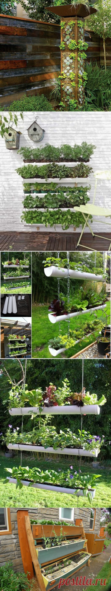 20 восхитительных идей создания вертикального озеленения для украшения дома и садового участка