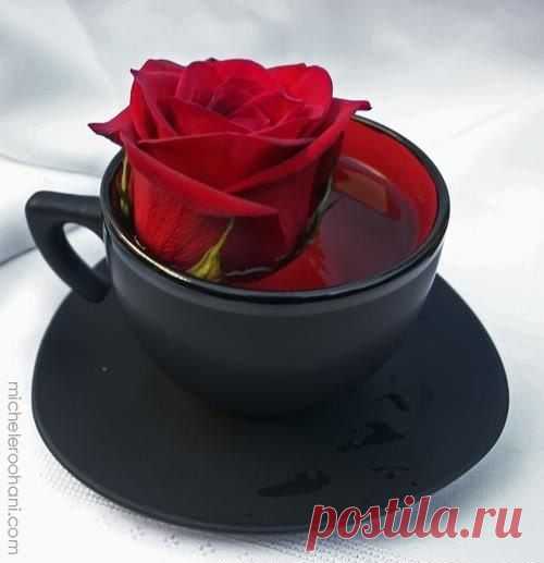 хх