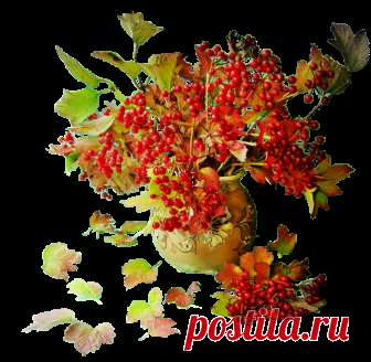 Открытка (плейкаст) «ХОРОШЕГО НАСТРОЕНИЯ В ЛЮБУЮ ПОГОДУ!!!!» Автор плейкаста: LYuDMILA_DOKA. Тема: Настроение. Когда: 18.10.2017.