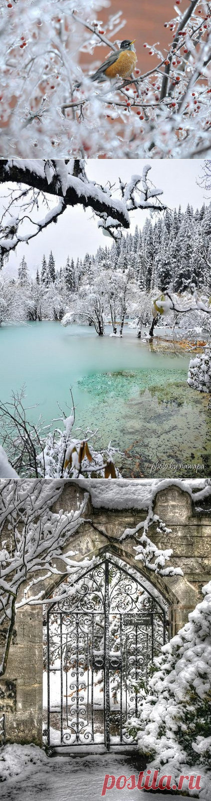 Природа фото. Галерея фото