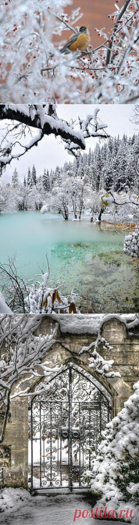 Природа фото. Галерея фото