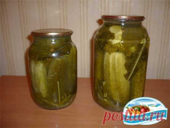 Огурцы соленые, как из бочки.