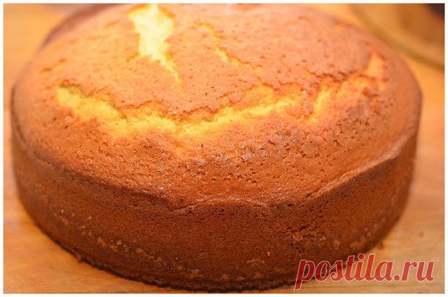 (41) Одноклассники