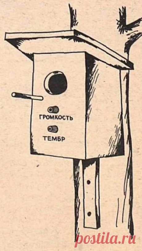 20vek.com: 1979. Карикатура художника П. Козича