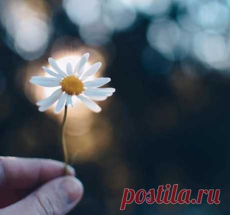 "Чтобы открыть новые части света, нужно иметь смелость потерять из виду старые берега."

© "Фальшивомонетчики", Андре Жид. 
 #Good_Morning.  #Доброе_Утречко.