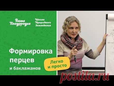 Формировка перцев и баклажанов — легко и просто