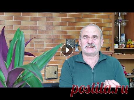 Пересадка комнатных растений  ! Пересадка комнатных растений !...