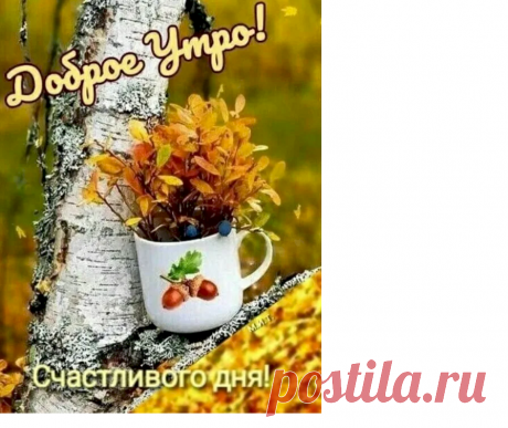 89fb3a64.png (896×753)