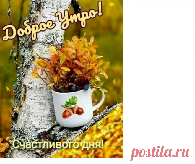 89fb3a64.png (896×753)