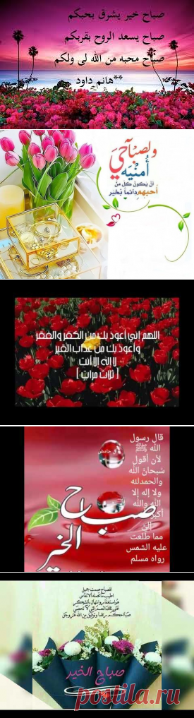 اجدد صور صباح الخير دعاء الصباح - سيدات مصر