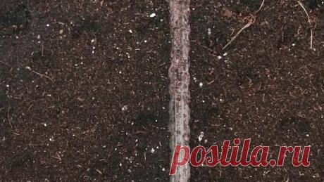 Эксибишен. Посадка.