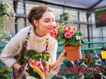 Не убивайте свои цветы: распространенные ошибки в уходе, которые совершают женщины, как их избежать — Journal women