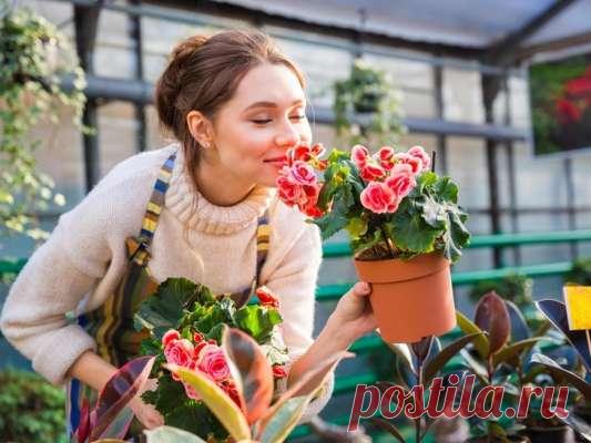 Не убивайте свои цветы: распространенные ошибки в уходе, которые совершают женщины, как их избежать — Journal women