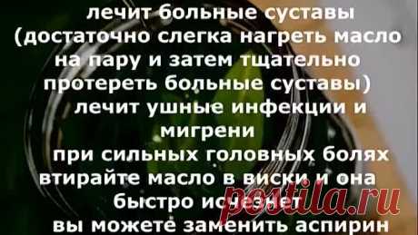 Это масло лечит больные суставы и нормализует функцию почек и печени