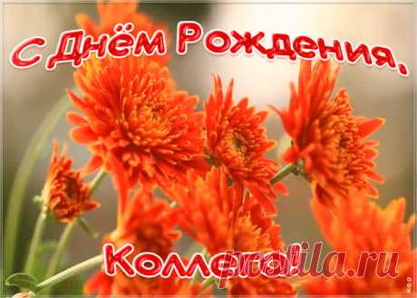 Открытка с днем рождения коллеге женщине с цветами - отправить бесплатно по электронной почте и в соц. сетях. Каталог прикольных открыток с днем рожедния для коллег.