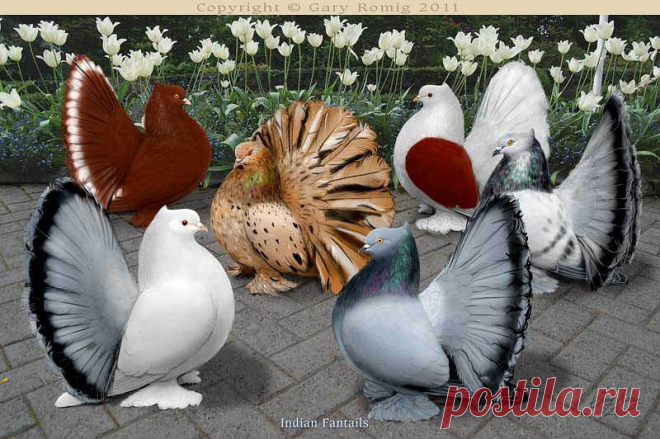 Фото группы | Фотографии В МИРЕ КРАСИВЫХ КАРТИНОК И ХОРОШЕЙ МУЗЫКИ | 11517 фото | Группы Мой Мир