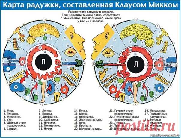 Карта радужки глаза