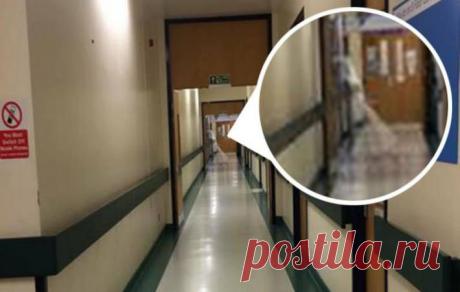 В Англии работник больницы сфотографировал привидение | МК - Лондон